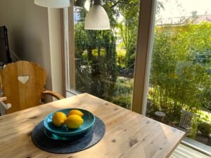 9-2 IMG_3927-n