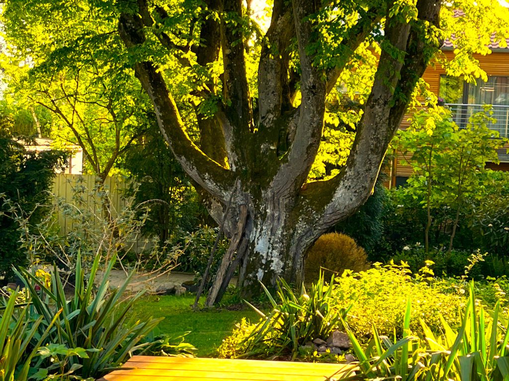 Atelier_Seeshaupt_Garten_1_n