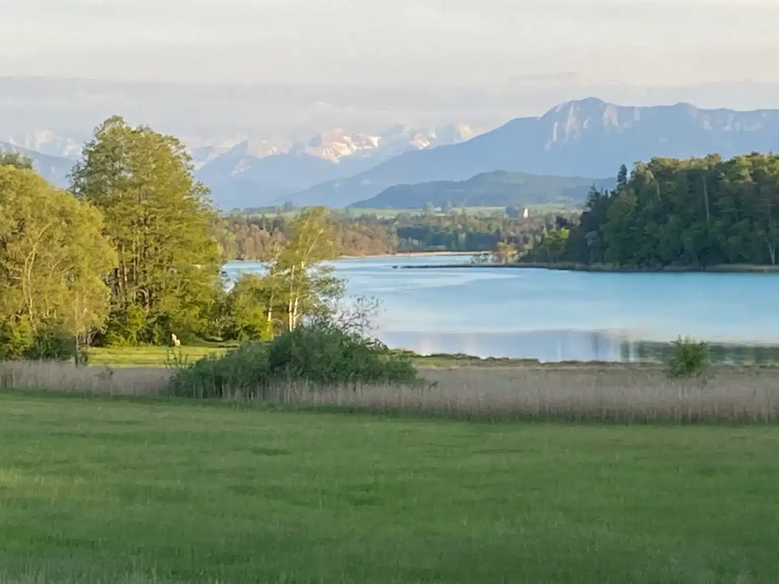 Seeshaupt_Osterseen_3-